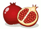 fruits vocabulary in English image
