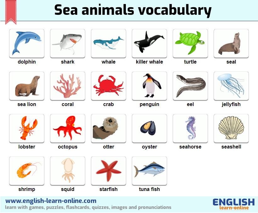 sea animals vocabulary image