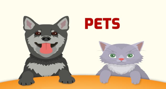 Pets Word List in English: Pronunciations Activities
